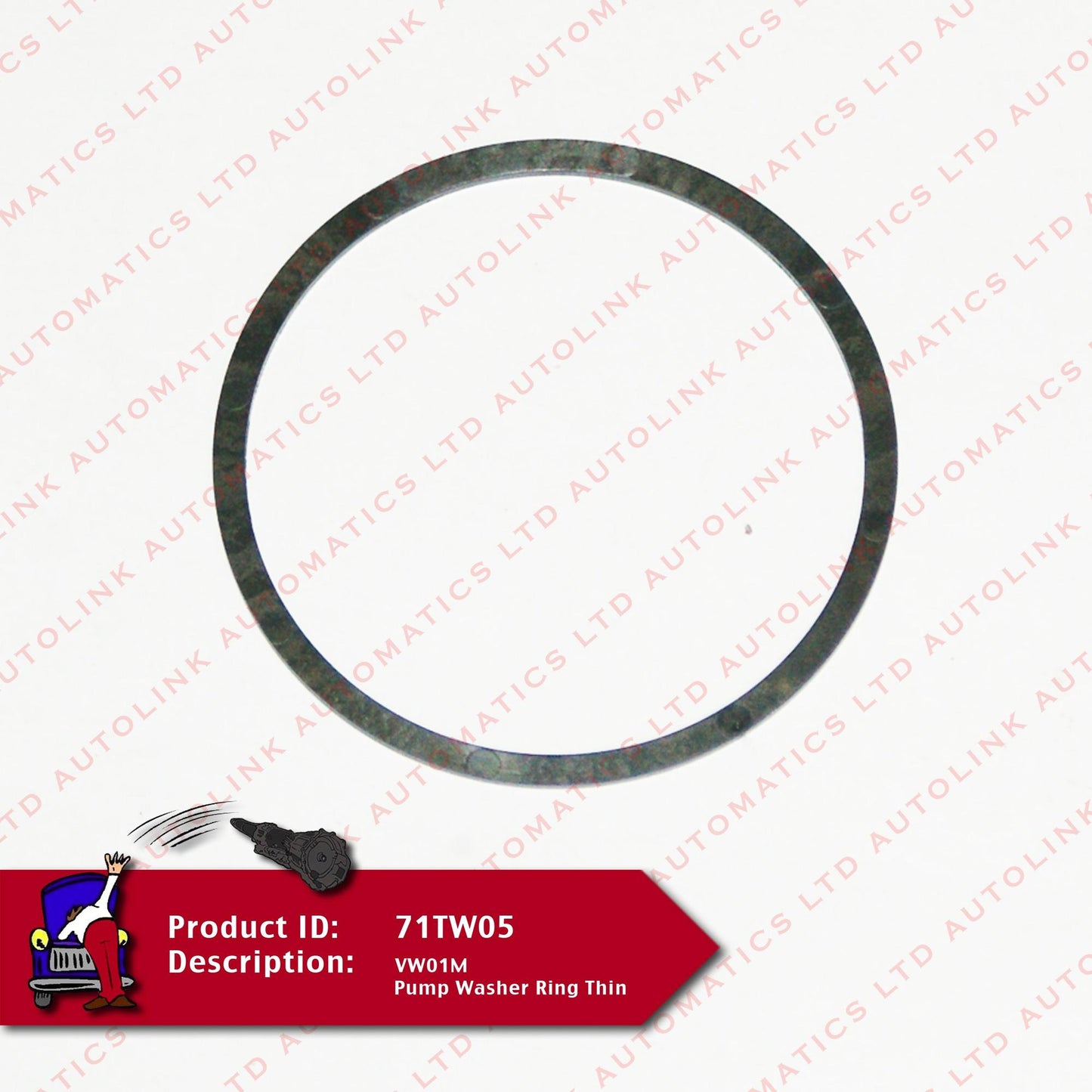 VW01M Pump Washer Ring Thin