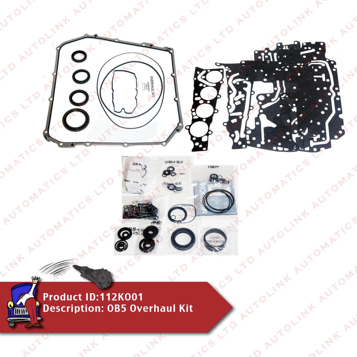 DL501 0B5 Overhaul Kit