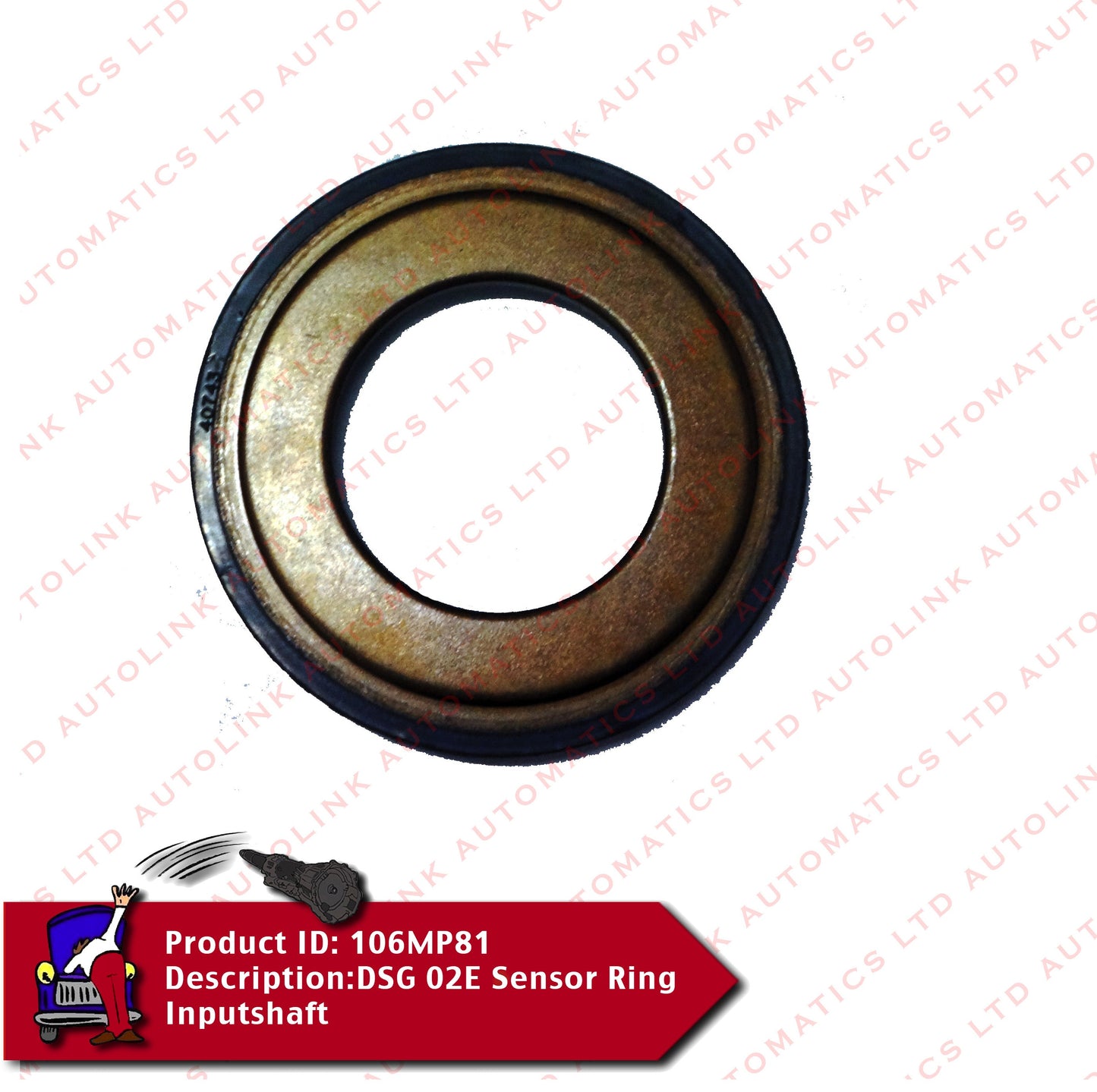 DQ250 02E Sensor Ring Input shaft