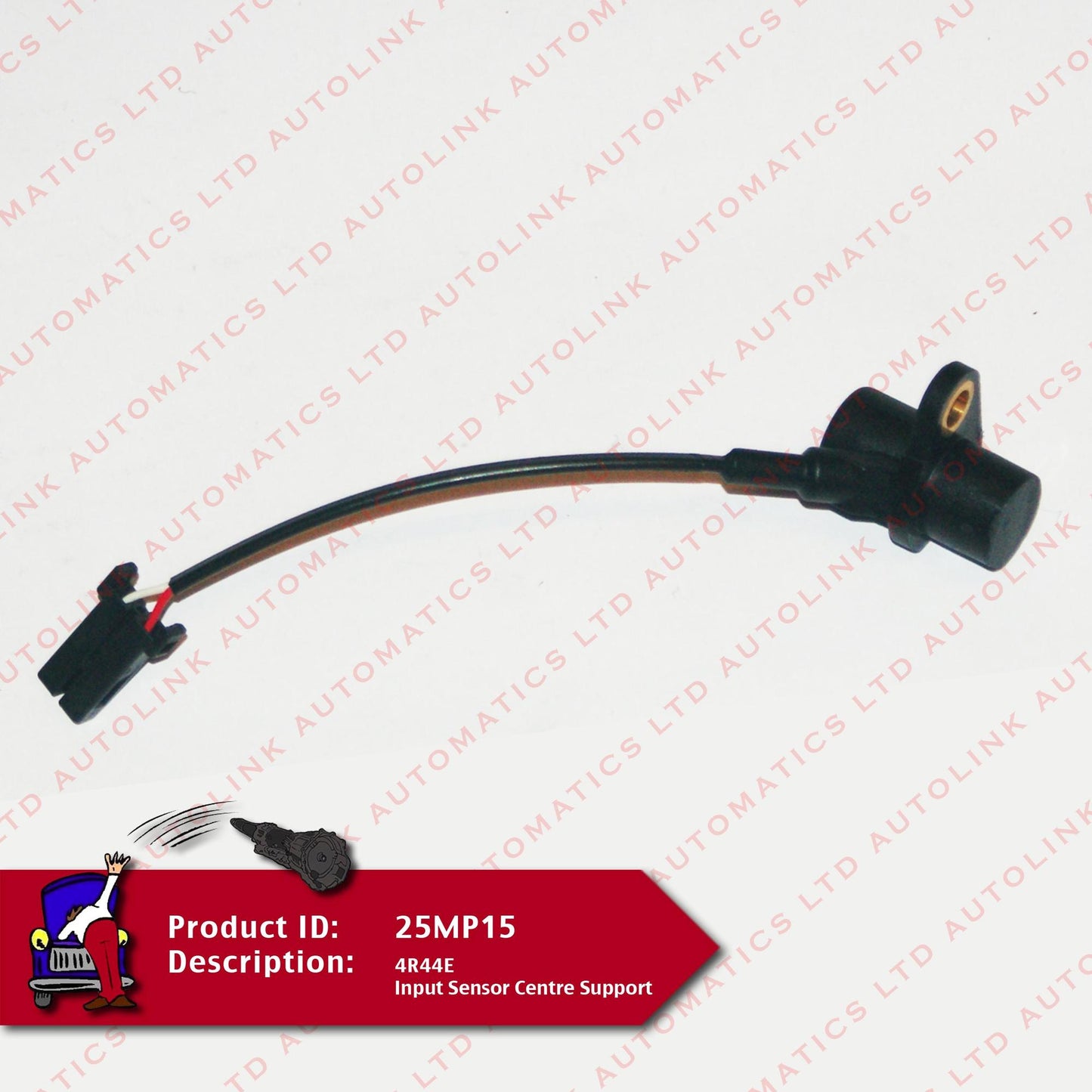 4R44E Input Sensor Centre Support