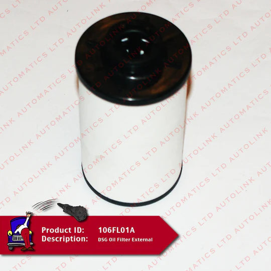 DQ250 02E Oil Filter External