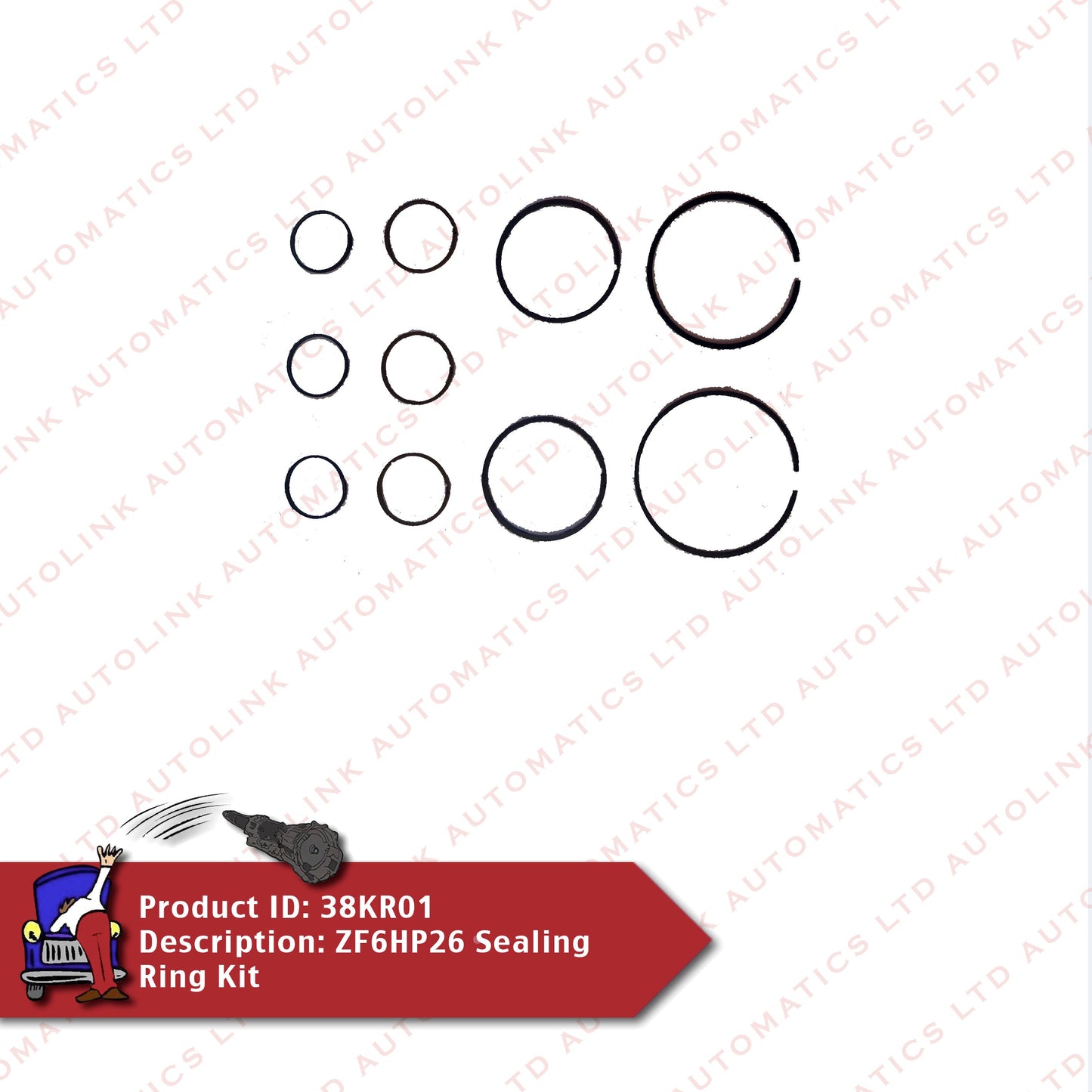 ZF6HP26 Sealing Ring Kit