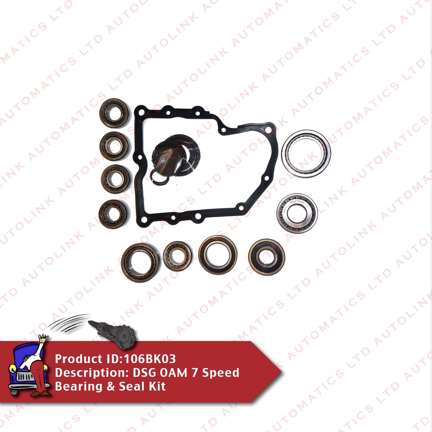 DQ200 0AM 7 Speed Bearing & Seal Kit