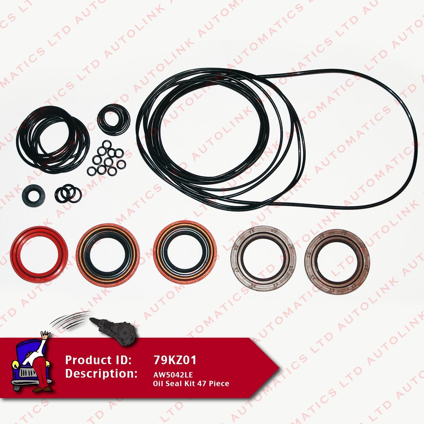 AW5042LE Oil Seal Kit 47 Piece