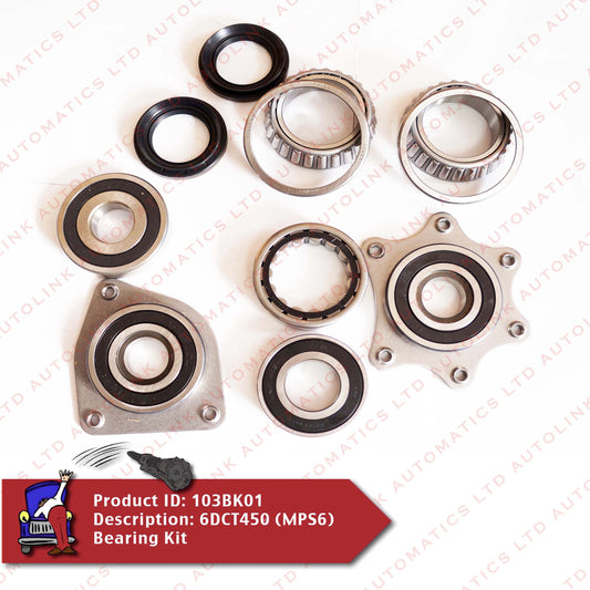 6DCT450 (MPS6) Bearing Kit