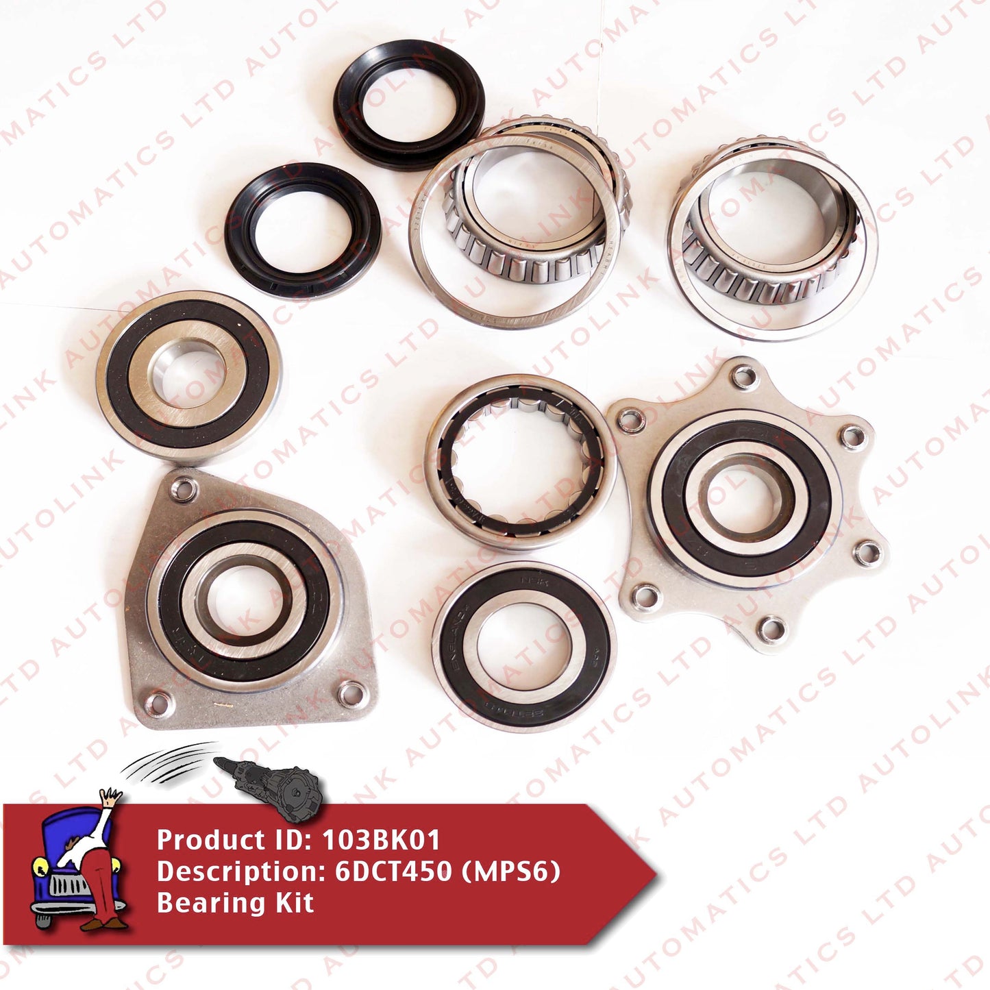 6DCT450 (MPS6) BEARING KIT