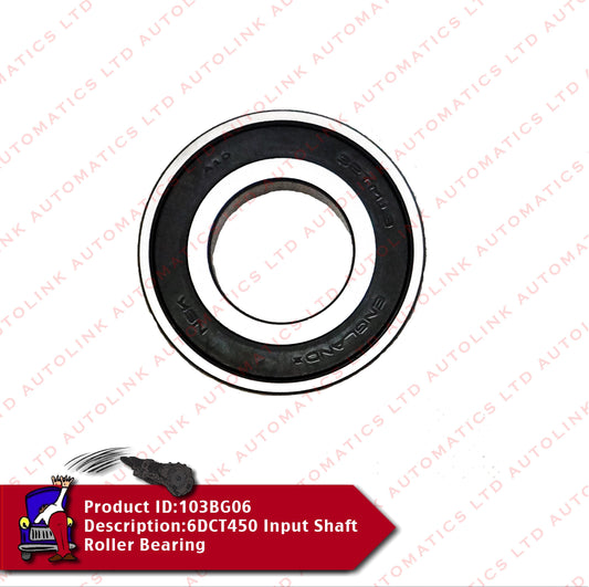 6DCT450 Input Shaft Roller Bearing