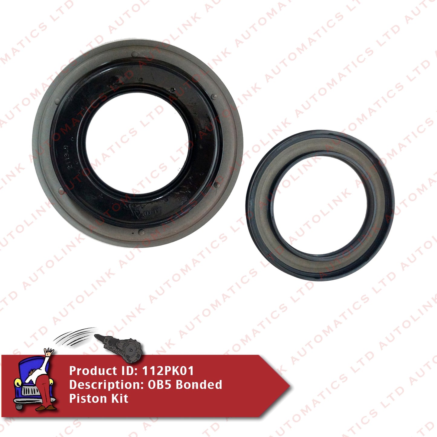 DL501 0B5 Bonded Piston Kit
