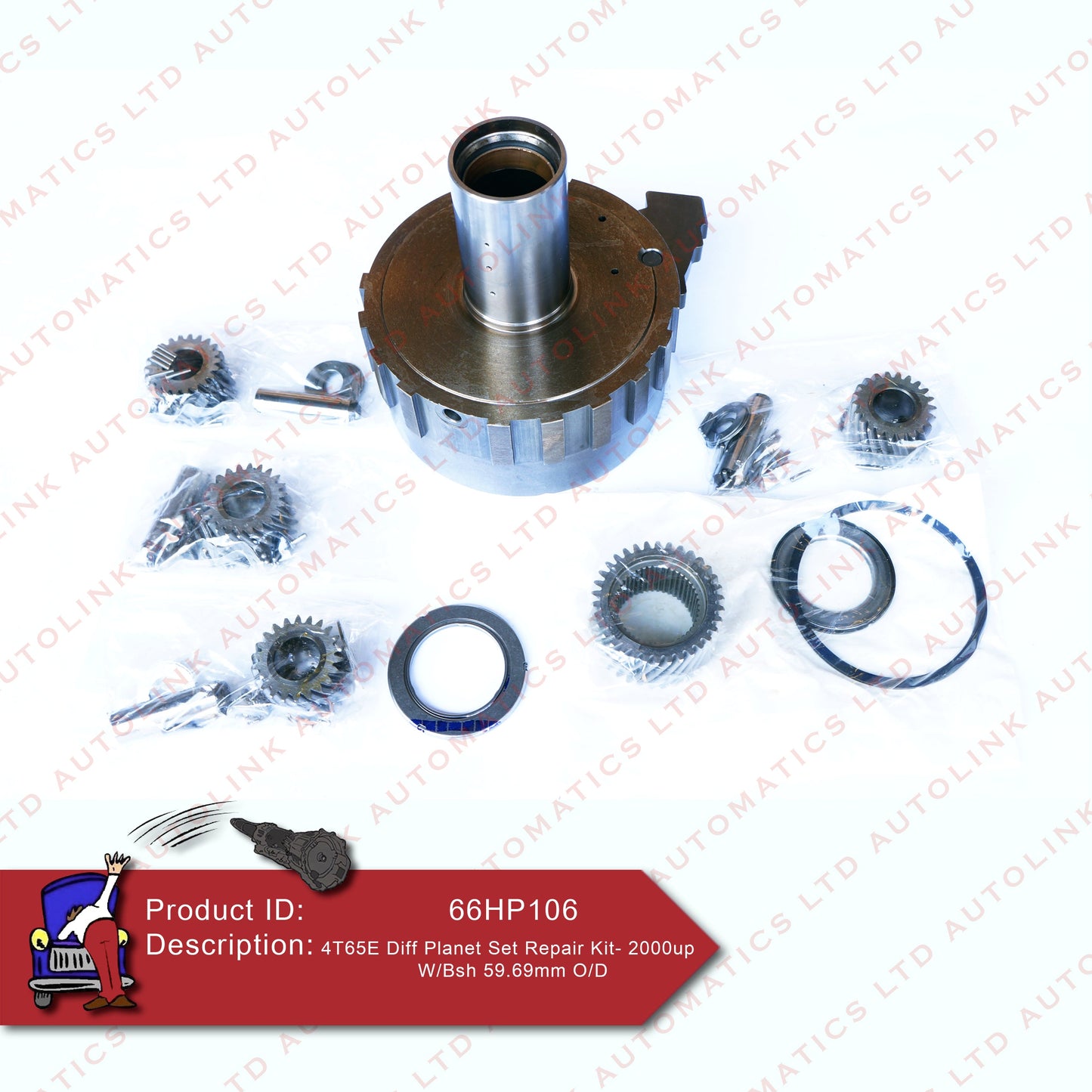 4T65E Diff Planet Set Repair Kit - 2000up W/Bsh 59.69mm O/D