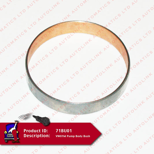 VW01M Pump Body Bush