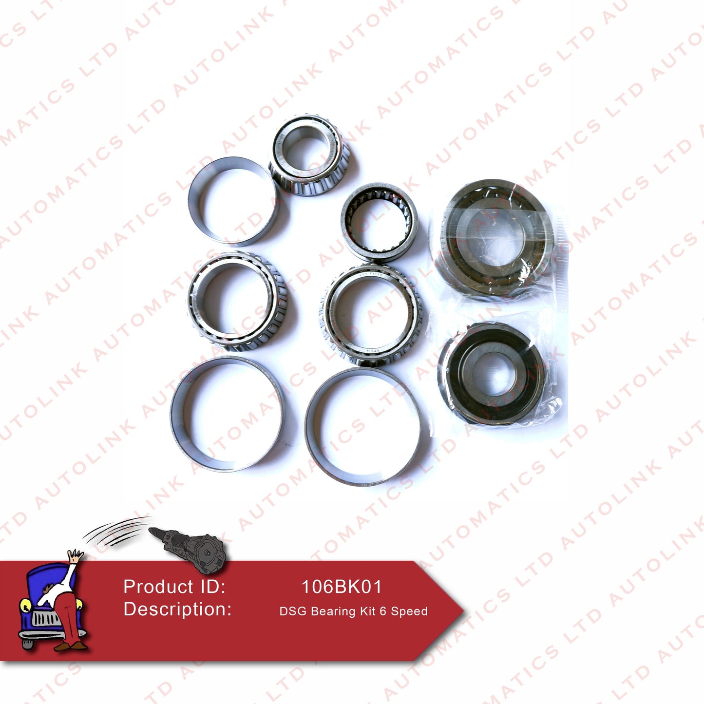 DSG Bearing Kit - 6 Speed