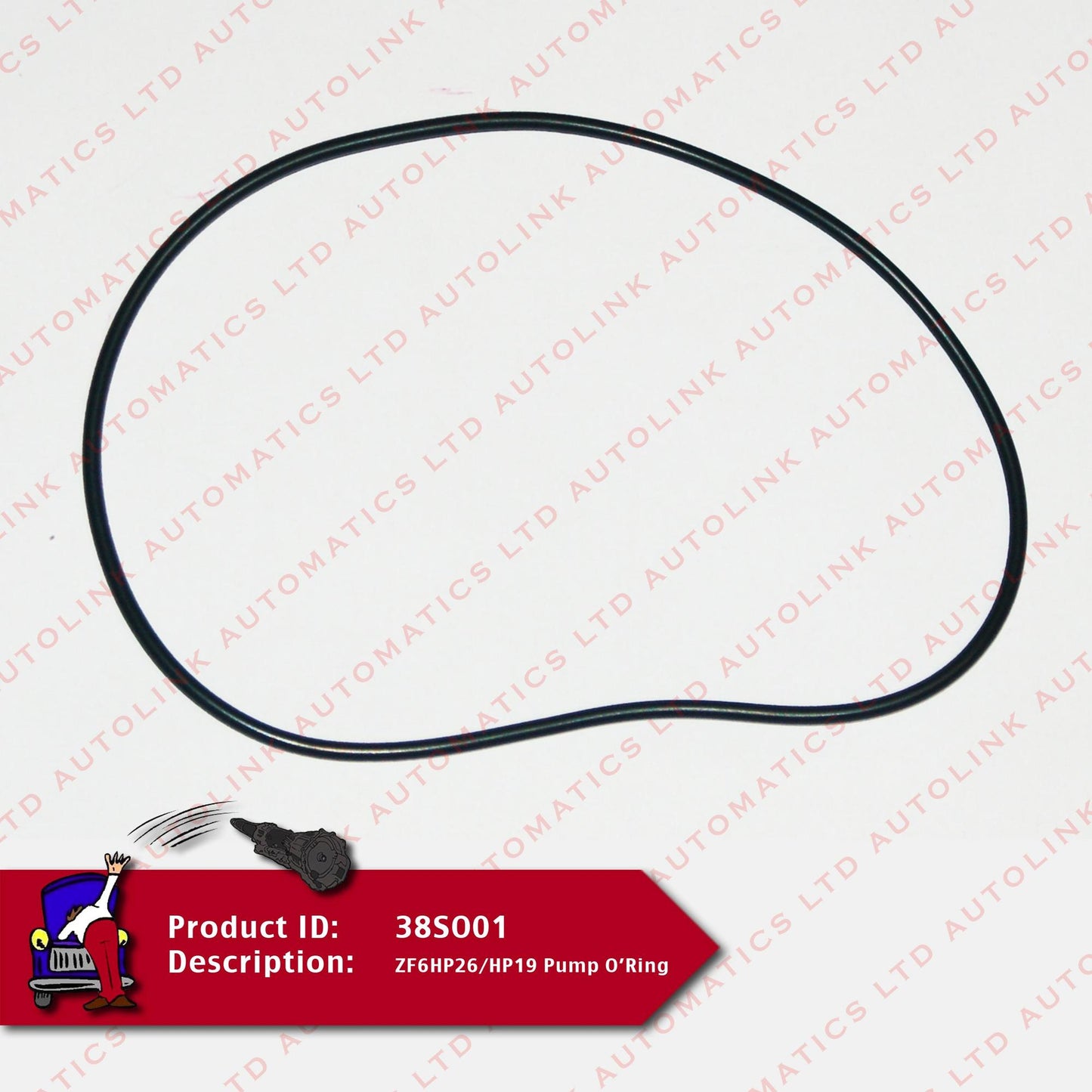 ZF6HP26/HP19 Pump O'Ring