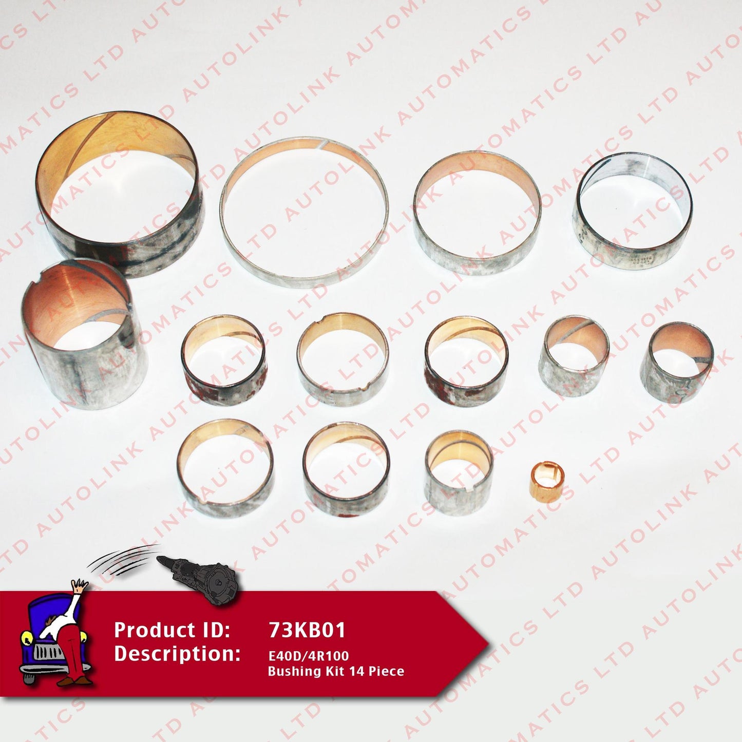 E40D/4R100 Bushing Kit 14 Piece