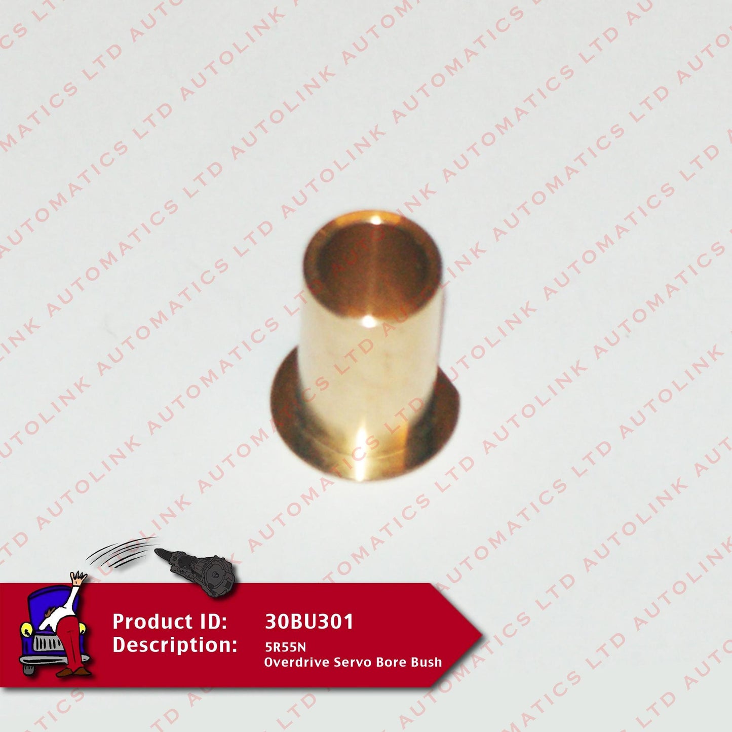 5R55N Overdrive Servo Bore Bush