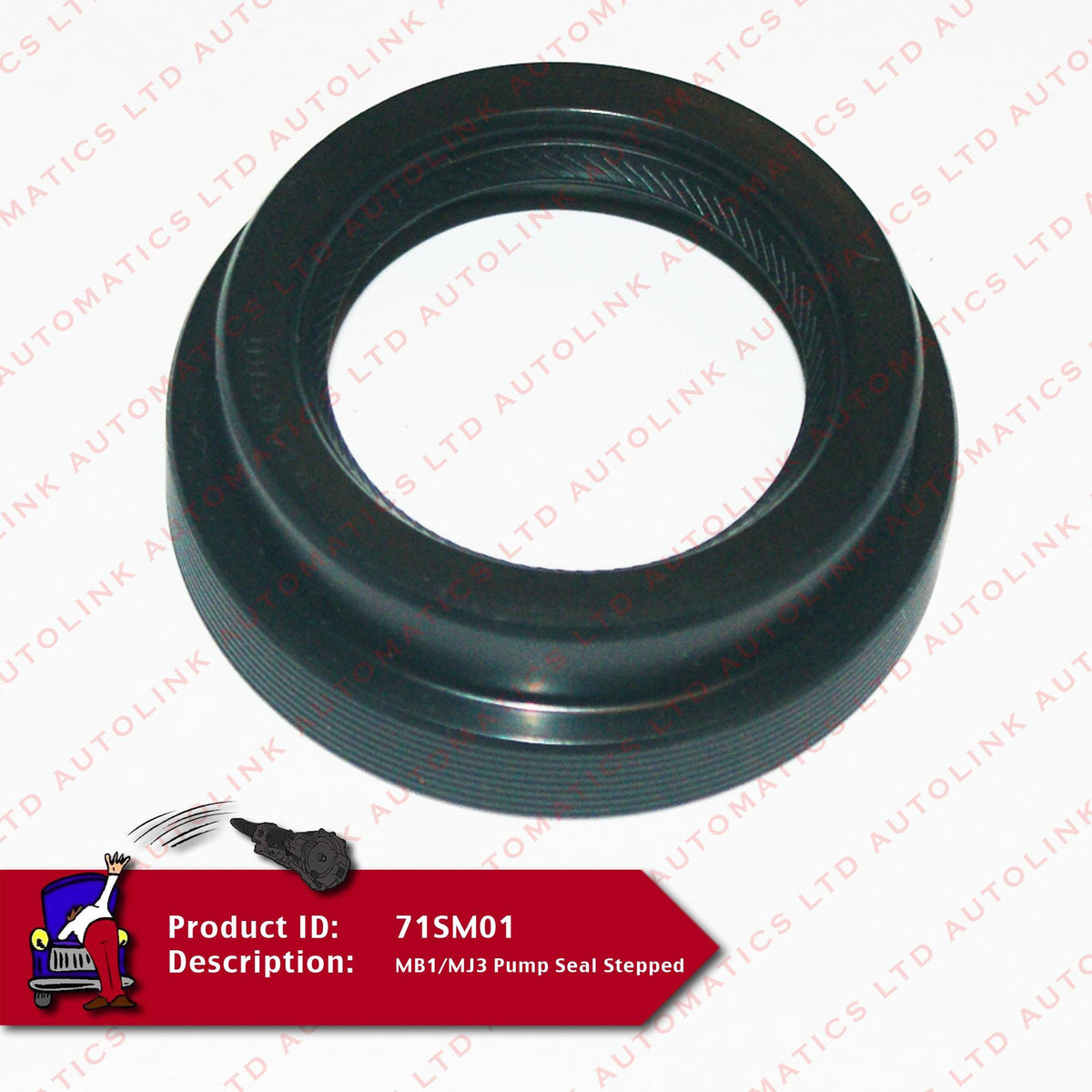 MB1/MJ3 Pump Seal Stepped
