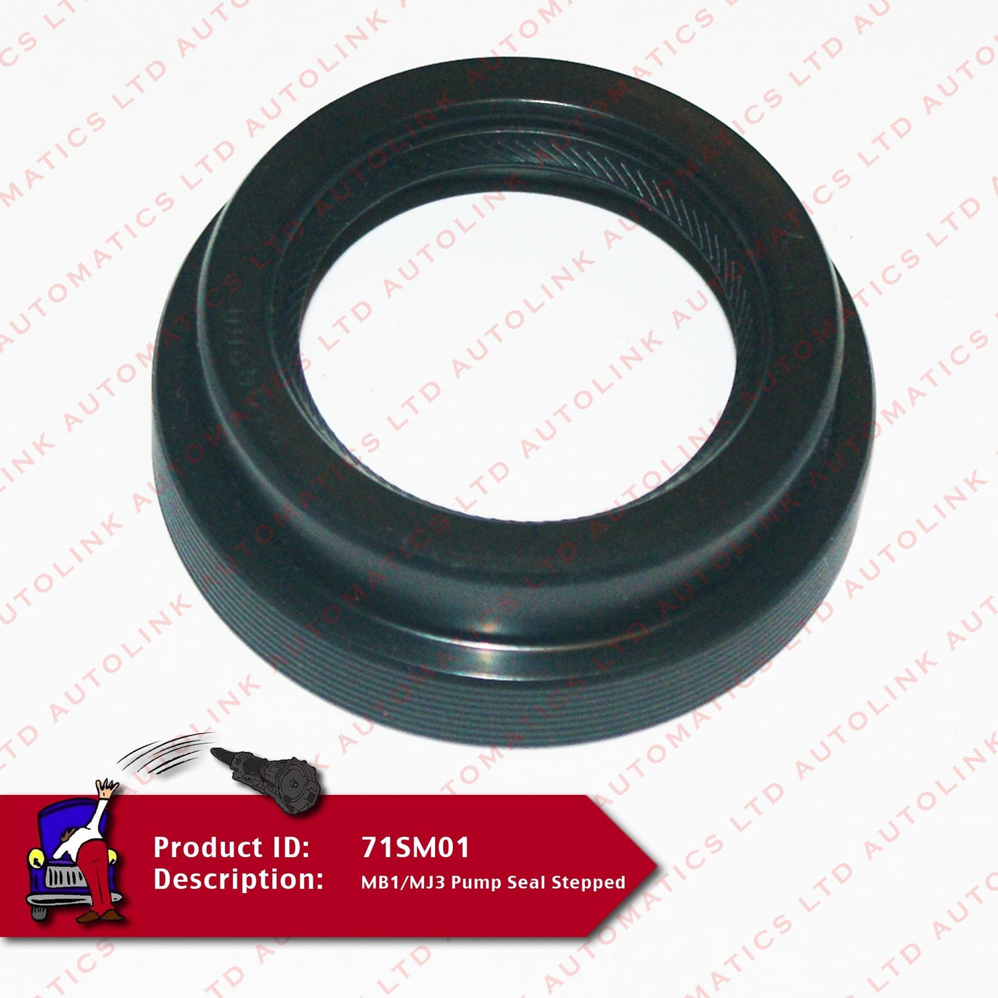MB1/MJ3 Pump Seal Stepped