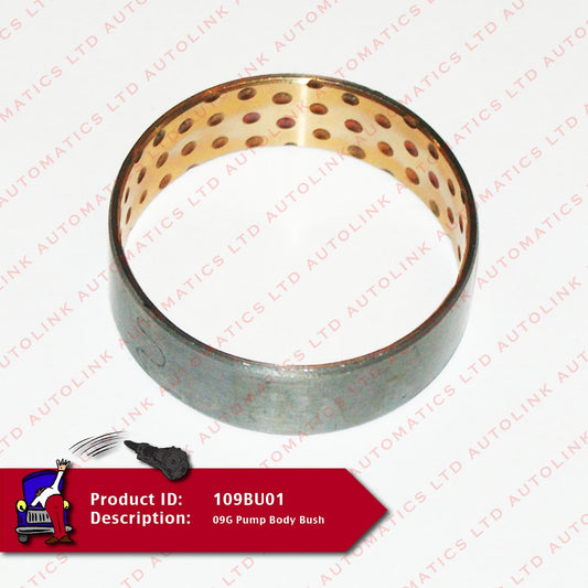 09G Pump Body Bush
