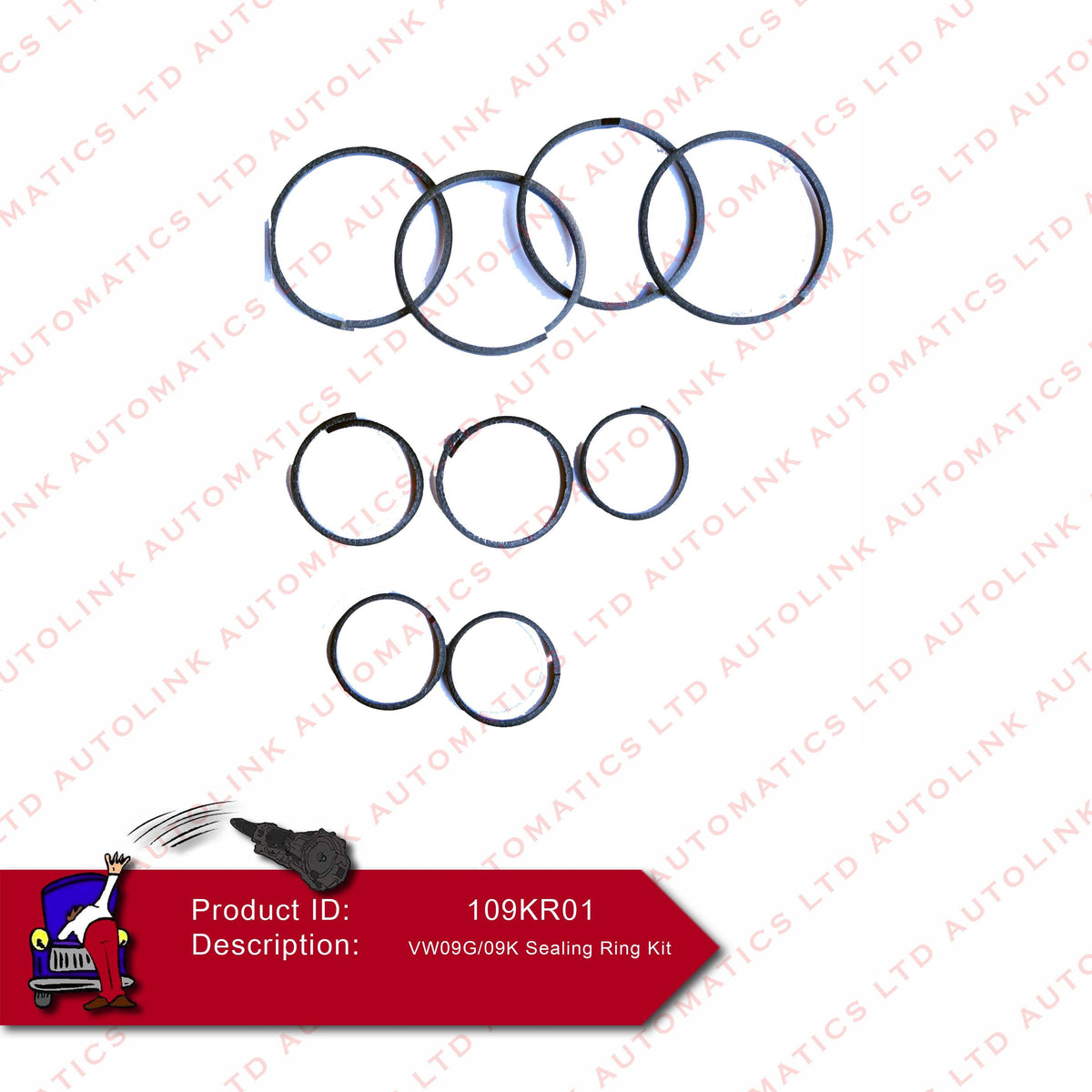 VW09G/09K Sealing Ring Kit