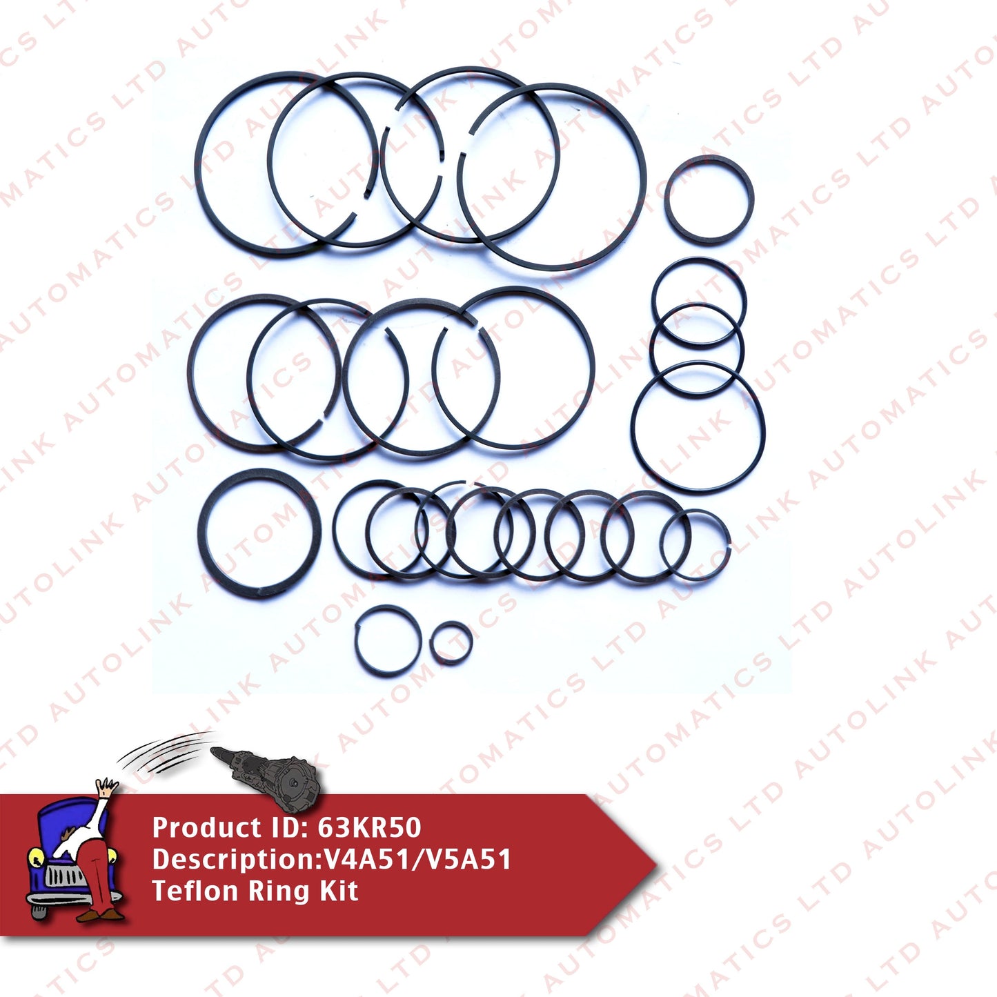 V4A51/V5A51 Teflon Ring Kit