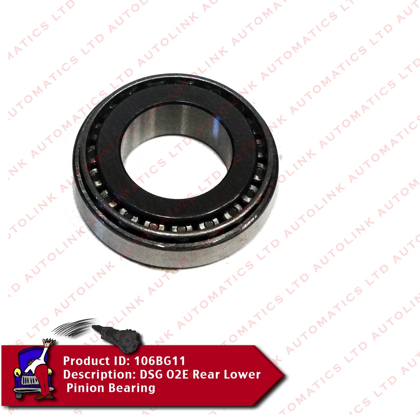 DQ250 02E Rear Lower Pinion Bearing