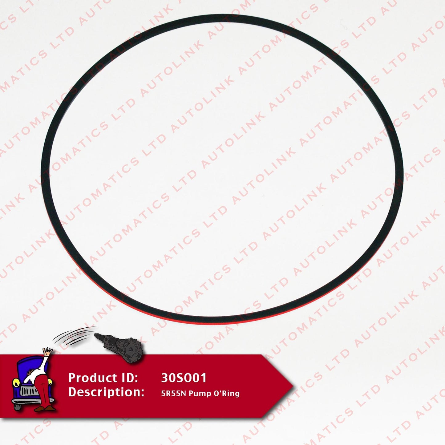 5R55N Pump O'Ring
