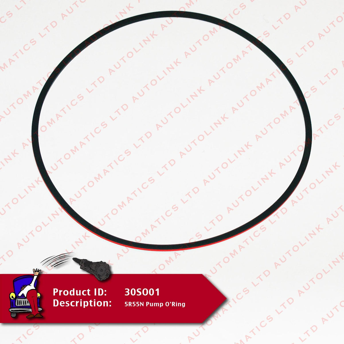 5R55N Pump O'Ring